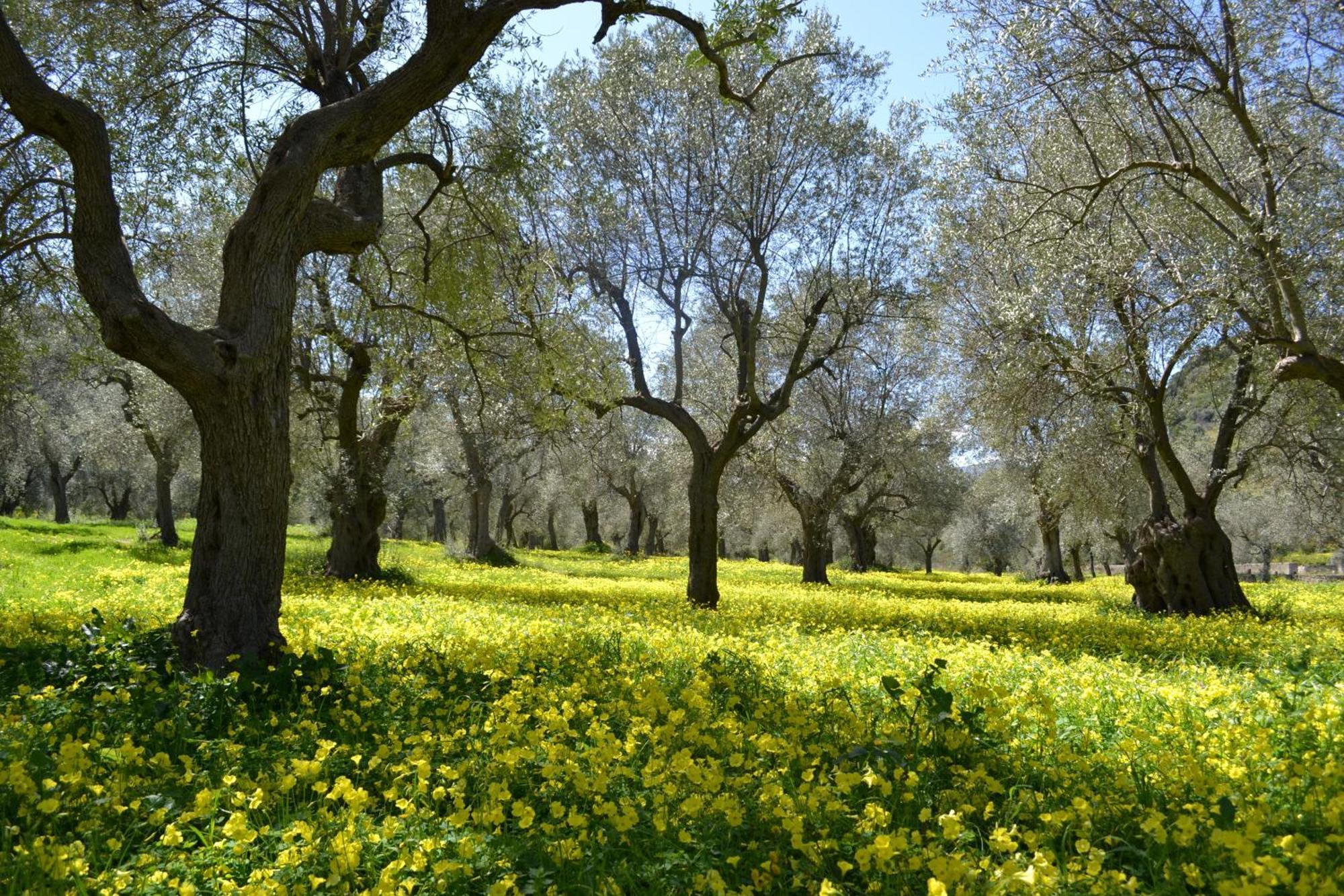 Agriturismo Malena Amica Luaran gambar