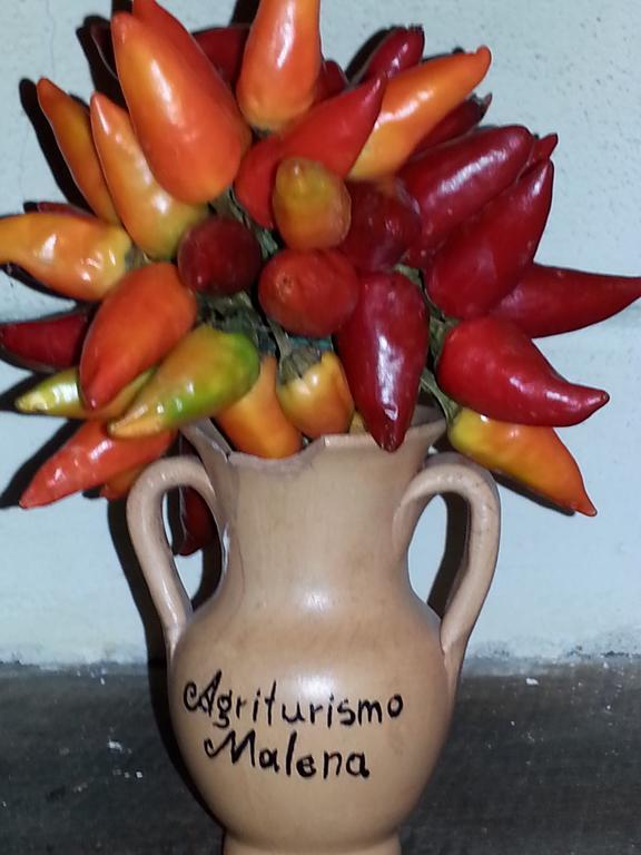 Agriturismo Malena Amica Luaran gambar