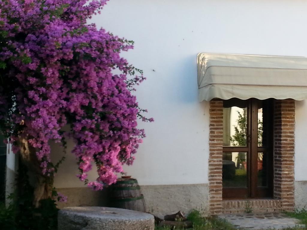 Agriturismo Malena Amica Luaran gambar